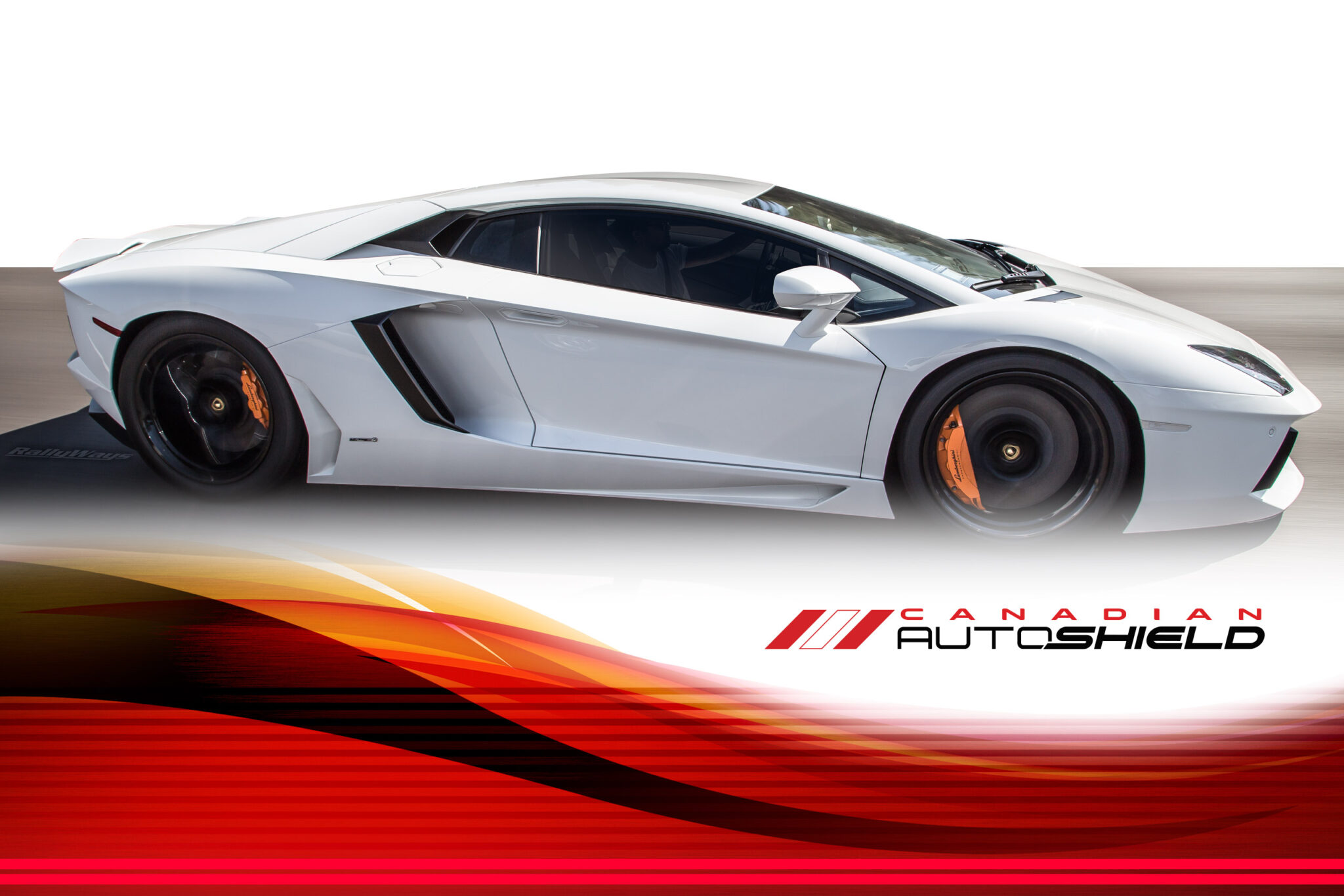 Paint Protection Film Winnipeg Auto Detail Canadian Auto Shield