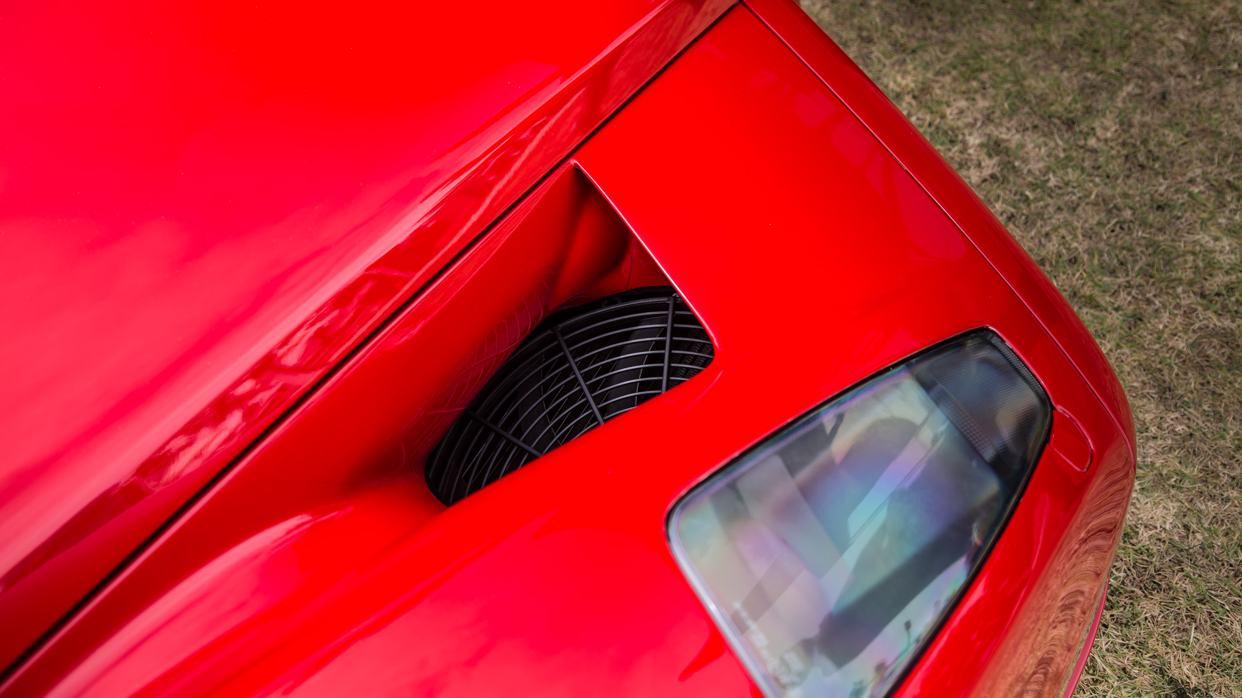 Ferrari Enzo Top Hood Canadian Auto Shield Canadian Auto Shield